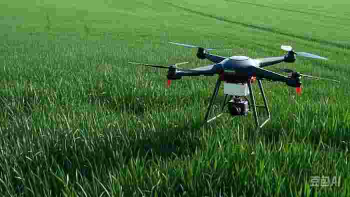 玛纳斯借植保无人机东风 精准施肥推动冬小麦高效返青