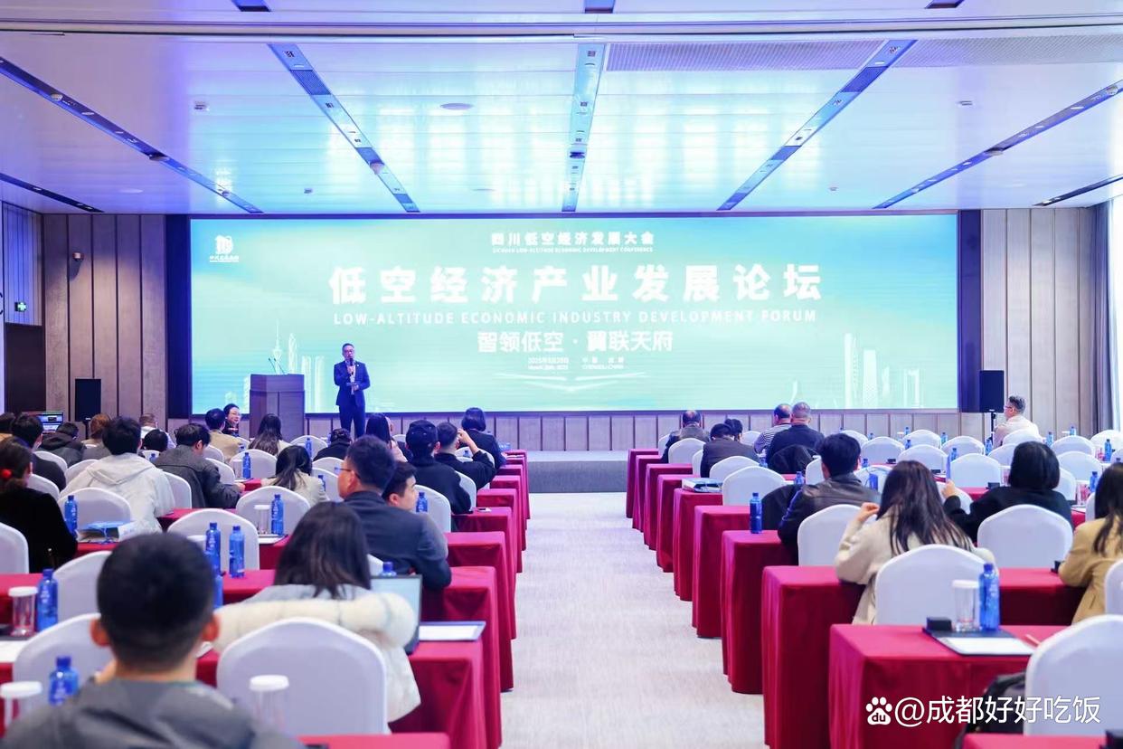 剑指低空蓝海2025四川低空经济发展大会在成都双流举行(图4)