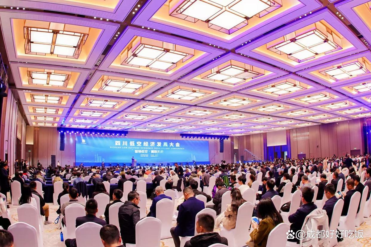 剑指低空蓝海2025四川低空经济发展大会在成都双流举行(图7)