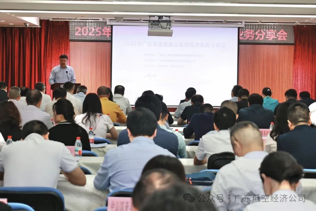 万里晴空无限机遇！行业专家共论低空经济发展新趋势(图1)