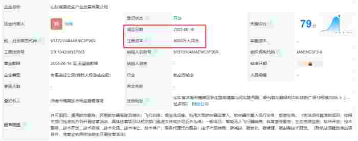 山东威震低空产业发展有限公司 百科(图1)