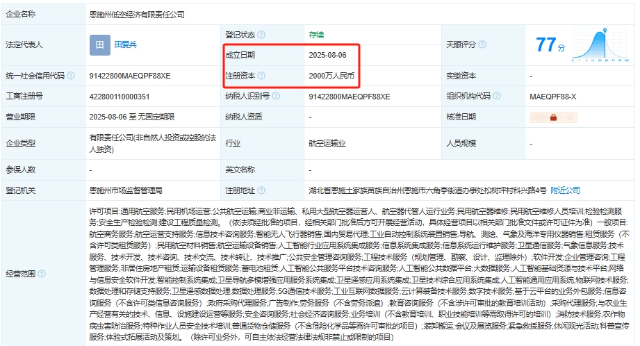 恩施州低空经济有限责任公司 百科(图1)