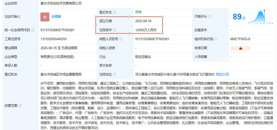 衡水市低空经济发展有限公司 百科(图1)
