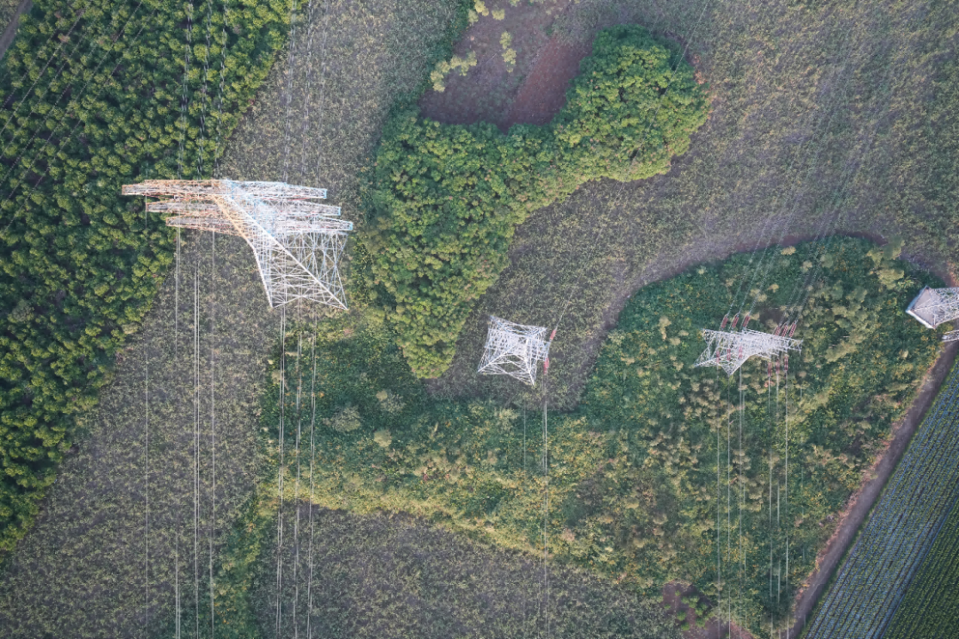 从技术深耕到行业引领：纵横股份双应用荣获电力巡检技术创新奖(图6)