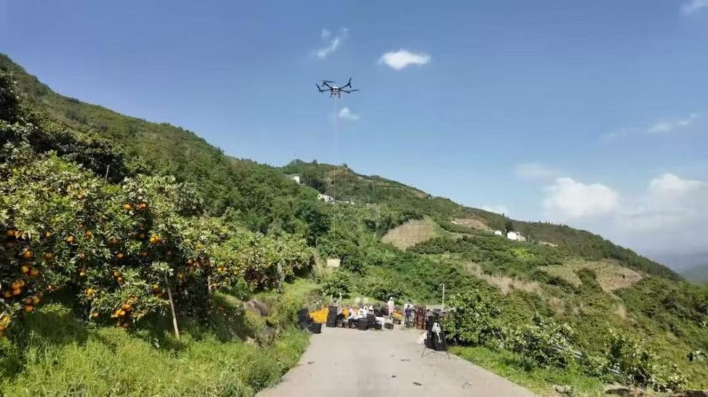安徽因地制宜拓展低空经济应用场景（二）——歙县丘陵山区特色果品无人机高效植保与智能运输综合应用场景(图3)