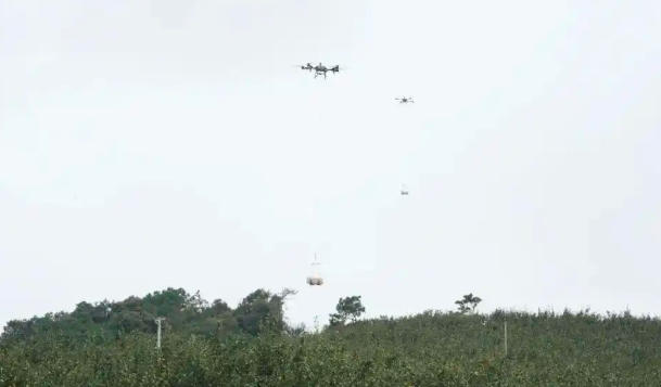 云南泸西县用无人机吊运梨果出山,两人单日喷洒100亩、药剂节约30%(图1) 云南泸西县用无人机吊运梨果出山,两人单日喷洒100亩、药剂节约30%(图1)